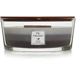 WoodWick Ellipse Vela Aromática, Multicolor (Warm Woods), 453g