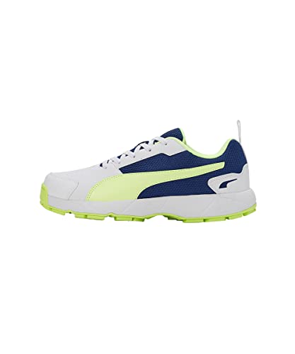 Image of Puma Men Cricket HighRun Cricket Shoe