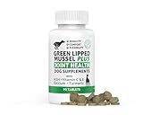 Plantonin Green Lipped Mussel for Dogs – 1325mg High Strength Hip & Joint Supplement for Dogs with Omega-3 – Supports Dog Joint Health, Mobility & Vitality – 90 Dog Joint Supplements Tablets