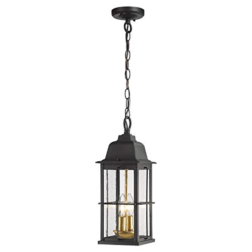 Zeyu 2-Light Outdoor Pendant Light, Exterior Hanging Light with Clear Seeded Glass, Black and Gold Finish, 20071H2