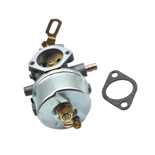 Carburateur HM100 Tecumseh en alliage robuste avec usinage haute précision