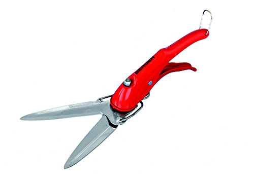 Berger(xK[) nfBGnT~ 310mm 2100