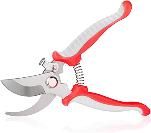 Best Professional Pruning Shears