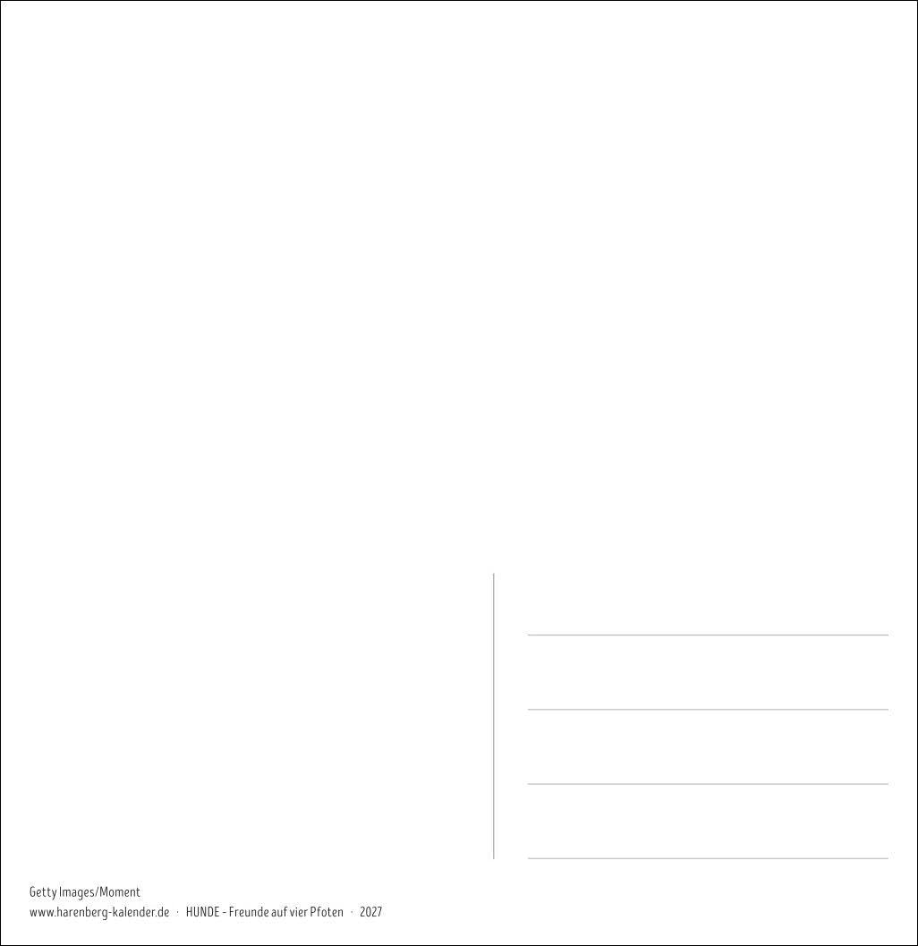 Hunde Premium-Postkartenkalender 2027 - Freunde auf vier Pfoten; Kalender mit 53 Postkarten: Kleiner Kalender mit 53 Postkarten zum Sammeln und ... einem Wochenkalender im Format 16,5 x 17,7 cm