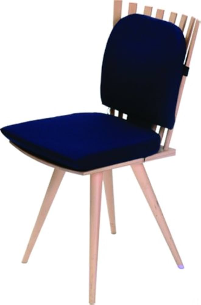 Amazon.co.jp: Tempur(R) Lumbar Support Dark Blue : Home