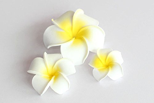 Dreamlily Women's Fashion 3 Pcs Hawaiian White Plumeria Flower Foam Hair Clip Balaclavas For Beach (White) #TOP3
