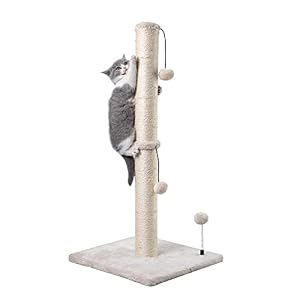 MECOOL 34” Tall Cat Scratching Post Premium Basics Kitten Scratcher Sisal Scratch Posts Trees with Hanging Ball for Indoor Cats, Beige