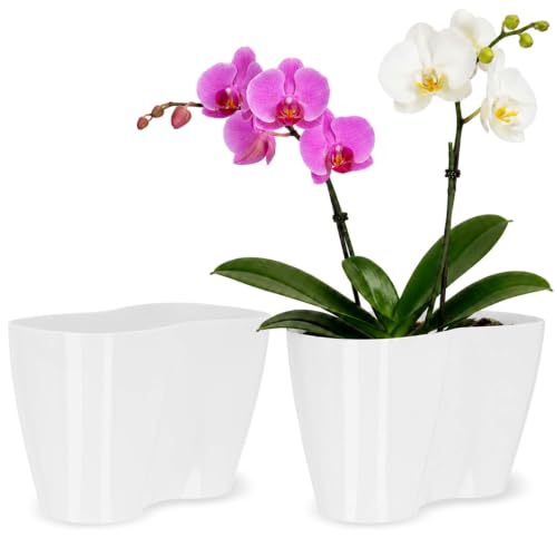 KADAX Blumentopf für Innen, Orchideen, Blumen, Pflanzen, Fensterbank, Übertopf, Orchideentopf, Pflanztopf aus Kunststoff… – Ansicht 1