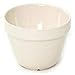 Mason Cash Original Earthenware All-Purpose Pudding Basin, 14 cm