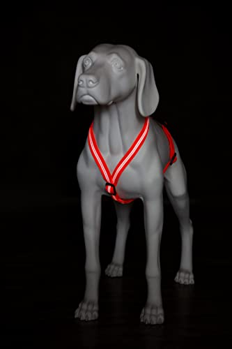 Feltmann Hundegeschirr Mantrailing/Suchgeschirr Basic - Laufgeschirr, Joggergeschirr - Super Soft, Neonorange, reflektierend, Bauchumfang 40-60 cm, 15 mm Bandbreite