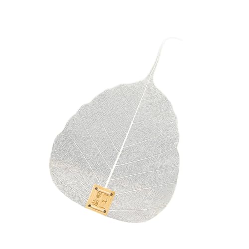 WEKADRIN 3  tό` y RpNg ^eB[Xg[i[ Ɨp ItBXp ׂ ? f