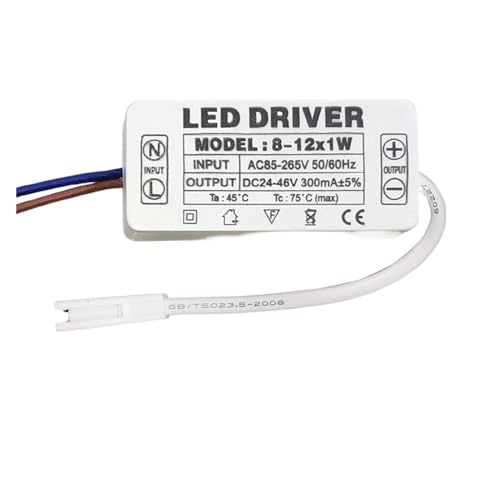 Driver LED 1-3W transformador de corriente para lámparas de techo 5