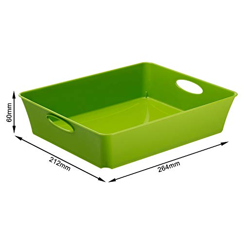 Rotho Living Piccolo vassoio di stoccaggio 2.5l