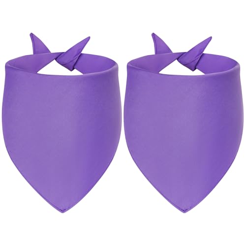 Agroon �u�����N �h�b�O �o���_�i �p�[�v�� ���[�W 2�s�[�X�ADIY �\���b�h �R�b�g�� �X�J�[�t�A�ϋv���̂���O�p�` ���o�[�V�u�� �r�u �n���J�` �q�� �y�b�g�p�A�p�[�\�i���C�Y���ꂽ�a����/�p�[�e�B�[ �y�����A�C�f�A �M�t�g