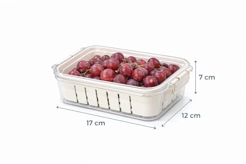 Image of Vasukie Divided Fridge Storage Boxes With 4 Serving Veggie Tray with Lid and Handle, Fridge Organizer with Removable 4 Compartment, Fridge Storage Containers (1 Small Compartment - 1PC)