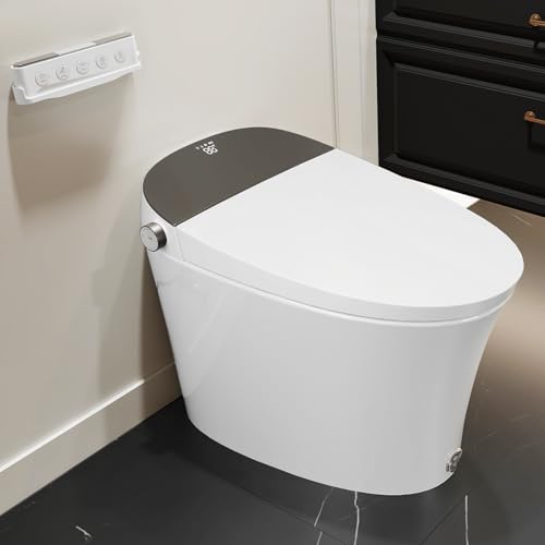 SOTOMO - Smart toilet with integrated bidet, bidet toilet with 1.06 GPF Auto Flush, built-in pump, automatic open/close lid, heated seat and dryer, remote control, light