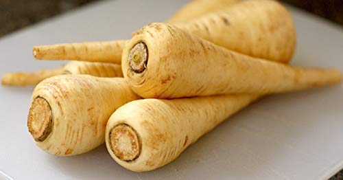 Hollow Crown Parsnip Seeds 50 Count, COOL BEANS N SPROUTS Brand. Home Gardening.