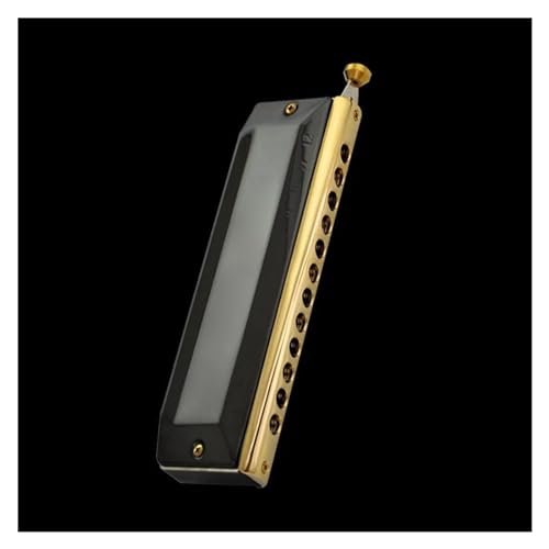 TYCHWZRMV �q���Ƒ�l�����̃W�A�g�j�b�N�n�[���j�J�A 12/16 Holes Chromatic Scale Harmonica C Key Black Gold Professional Mouth Harmonica Playing Music
