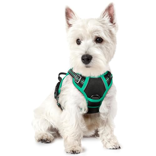 Image of rabbitgoo Dog Harness No Pull with 2 Leash Clips, Adjustable Soft Padded, Reflective Oxford No Choke Pet Vest with Easy Control Handle for Puppy, Black & Turquoise, XS