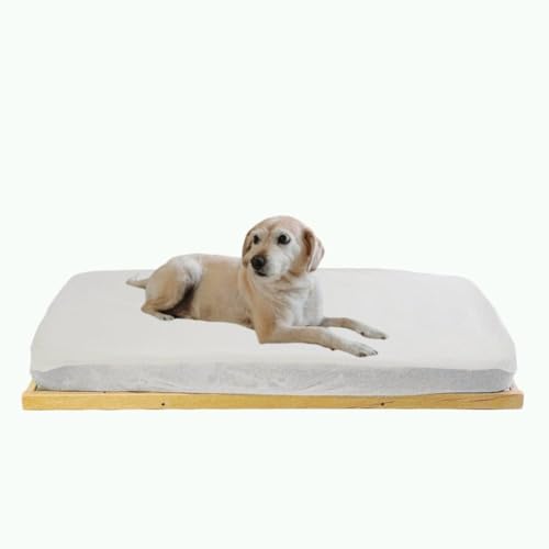 Cama de Mascota Throne, Estructura somier Elevado del Suelo (Todo Tipo de Mascotas) CoolDreams