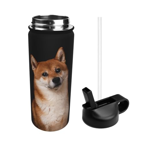  Č  킢 X|[c{g @r e q l  Xg[t ۉۗ  v[g Mtg