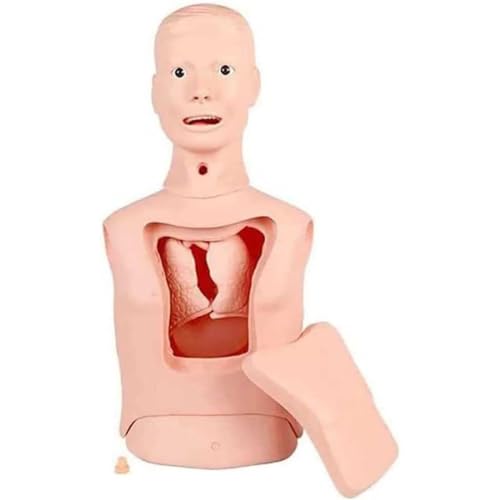 Image of Intubation Gastric Tube Manikin Medical Mannequin Training Manikin Advanced Nasogastric Tube and Trachea Care Model Gastric Lavage Tracheostomy Model for Nursing Teaching Education