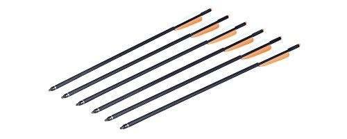 CenterPoint Archery CP400 Select 400-Grain 20-Inch Carbon Arrows, Pack of 6
