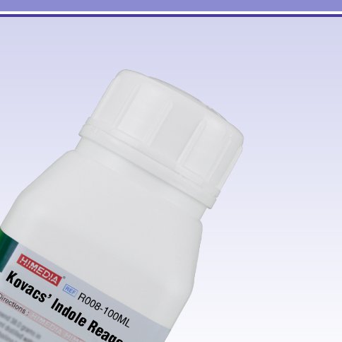 Kovacs’ Indole Reagent : Amazon.in: Industrial & Scientific