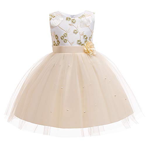 Christening Lace Birthday Christmas Easter Special Occasion Flower Baby Girl Dress Princess Formal Prom Party Tutu Ball Gown 2T 3T Champagne 100