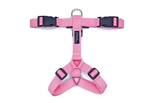 Animal Connection Pettorina ad H per Cani. 5 Punti di Regolazione. Disponibile in 5 Colori. Leggera e Resistente. (S, Rosa)