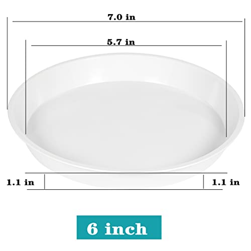 Angde 6 Pack Plant Saucer Pot Tray 4 6 8 10 12 14 Inch, Durable Plastic Plant Saucer Round, Plant Trays For Pots, Plant Saucers For Indoors, Flower Plant Drip Tray, Pot Saucers (6 Inch, Grayish White) #TOP1