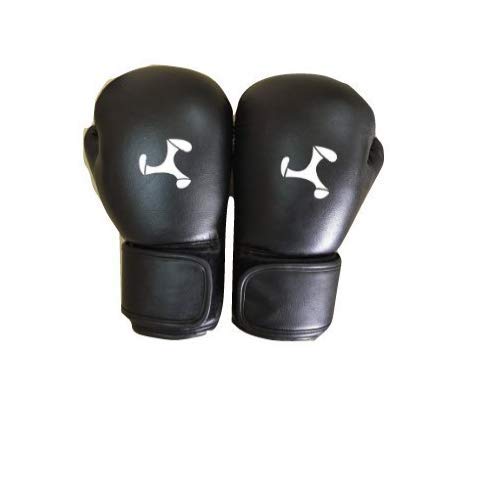 Le Buckle Synthetic Leather Sparring Gloves (10 oz) (B07RHY36XX) Amazon Price History, Amazon Price Tracker