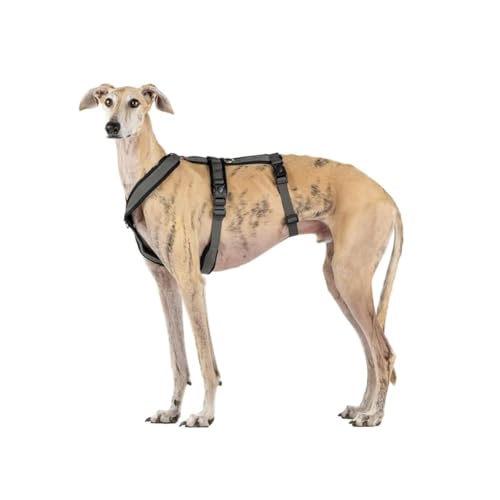 3-Point Anti-Escape, Anti-Pull Harness - Ideal for Sighthounds: Italian Greyhound, Whippet...