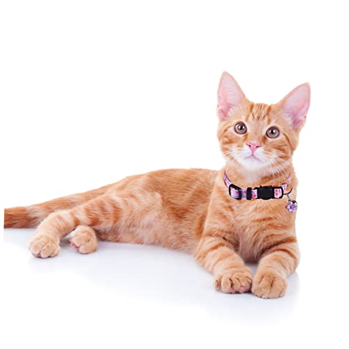 Collier pour chats et chatons VANZACK accessoire sécurité animaux de compagnie fleurs