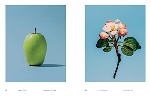 William Mullan: Odd Apples