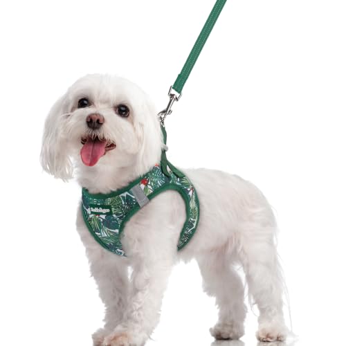 Image of rabbitgoo Dog Harness Medium Sized and Leash Set, Step-in Puppy Pet Vest