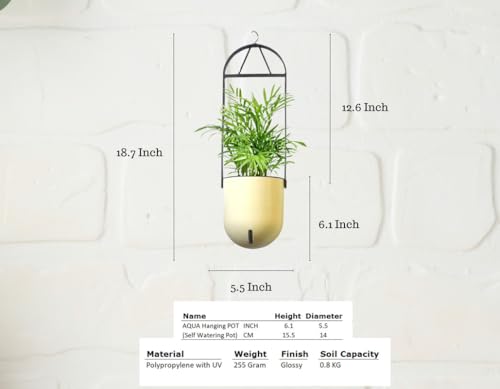Image of Indian Discovery Self Watering Ceiling Hanging Planter|Hanging /Hooked Flower Pots for Home, Balcony, Vertical Garden Decor Flower Pots(1 PC,Ivory,Sphere)|6 Inch UV-Resistant Plastic Plant Pots