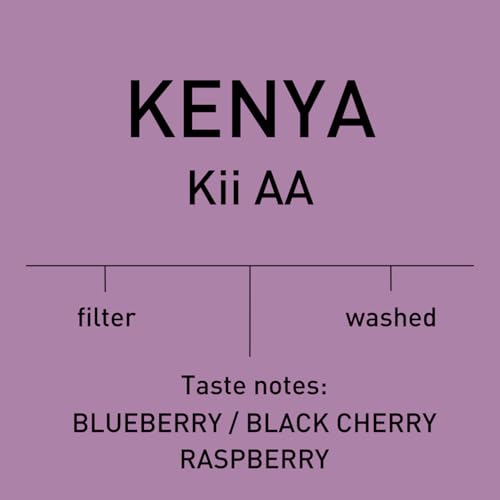 Antsti Fuel Kenya Washed Coffee Beans, Tostado Medio, En Grano, 1 lb miniatura 3