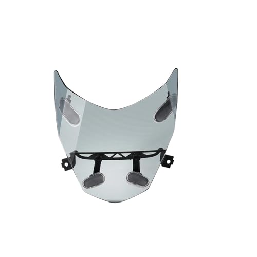 Protège phare grille contre les impacts de pierres pour R1300GS 1300