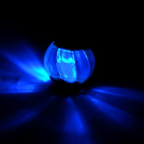 Zeus Duo-Bälle mit LED, interaktives Hundespielzeug, klein