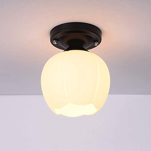 Lámpara de techo con luz LED de suspensión individual de vidrio 3