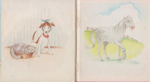 Dr. Hilda Makes House Calls 0307177076 Book Cover