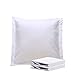 NTBAY Taie d'oreiller Volant Plat 65 x 65 cm, Lot de 2 Housse de Coussin en Microfibre Super Douceur, Blanc