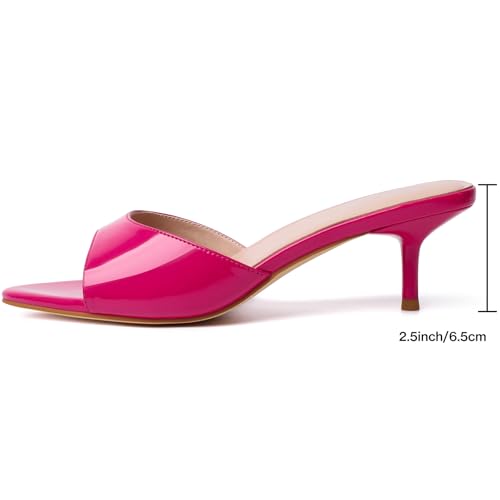 Image of Mostrin Kitten Heels for Women Pointed Toe Vintage Mules Heels Sexy Slip on Stiletto Backless Sandals for Party Wedding Daily