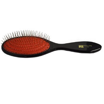 The Phillips Brush # 11