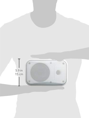 Amazon.co.jp: MASSIVE マッシブ 天吊形 120mmフルレンジ