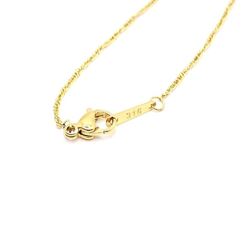 [p[c[h] lbNX `F[ fB[X 316L T[WJXeX [ AM[Ή ] yS[hyɍׁzz40cm 45cm 50cm 60cm Y fB[X ubN K18bL ×pXeX (yɍׁz26.XN