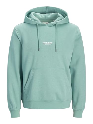 JACK & JONES Jjesoho Sweat Hood Noos