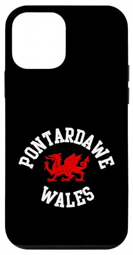 Pontardawe EF[YhS LbY Y fB[X X}zP[X iPhone 12 mini p