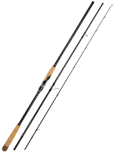 Jenseits 12ft Carbon Spinning